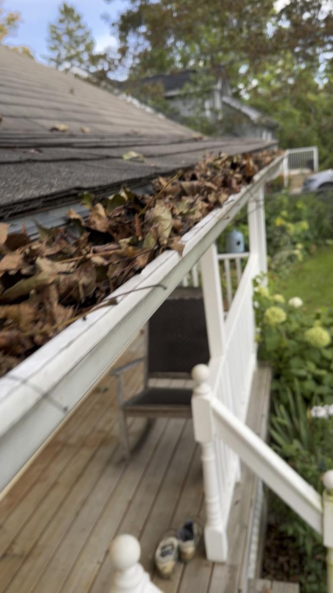 Gutter cleaning before