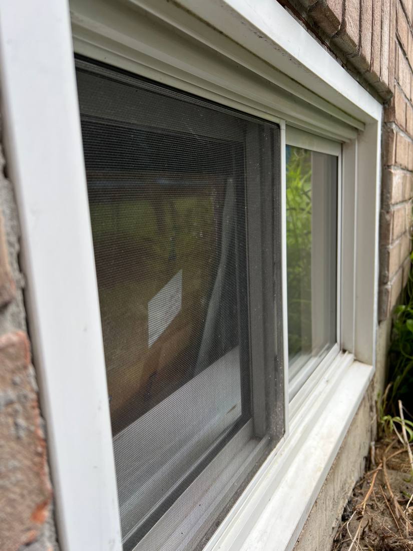 Exterior windows after